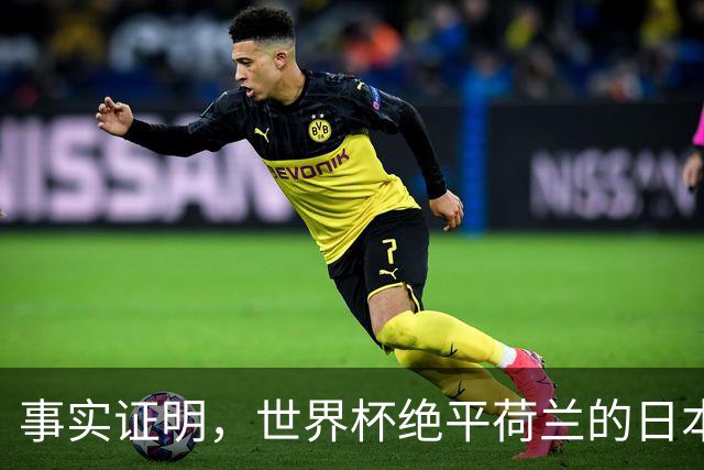 事实证明，世界杯绝平荷兰的日本男足，已经走上了另一条大道